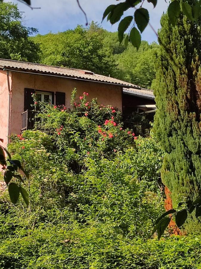 Moulin Vieux Bed & Breakfast La Bollene-Vesubie Exterior photo